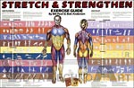 Stretch & Strengthen Anatomical Chart